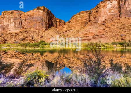 Sandy Beach River Access Colorado River Reflection Abstract Green Grass Moab Utah USA Southwest. Stockfoto