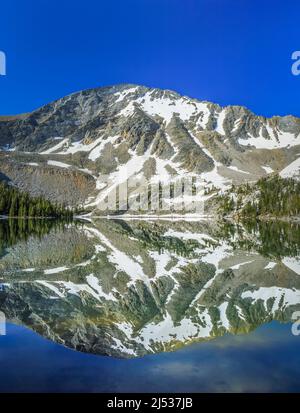 der torrey-Berg spiegelt sich im torrey-See in den Pionierbergen bei polaris, montana Stockfoto