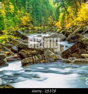 stromschnellen und Felsbrocken am Yaak River im Herbst in der Nähe von Troy, montana Stockfoto