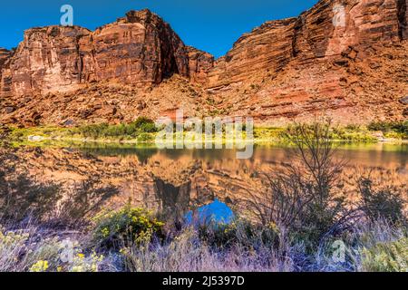 Sandy Beach River Access Colorado River Reflection Green Grass Moab Utah USA Southwest. Stockfoto