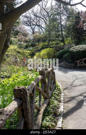 Der Shakespeare Garden im Central Park ist ein Anhaltort für einen englischen Cottage Garden, New York City, USA 2022 Stockfoto