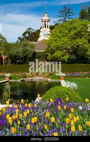 Tulpen blühen in einem malerischen Garten Stockfoto