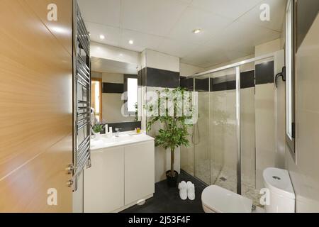 Badezimmer mit Handtuchhalter aus Chrom, Duschkabine mit Glasschiebetabtrennung, rahmenlosem Spiegel, Waschbecken aus weißem Porzellan und dekorativer Pflanze Stockfoto
