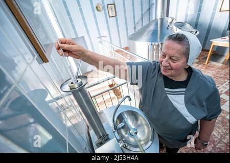 Mallersdorf Pfaffenberg, Deutschland. 14. April 2022. Schwester Doris, Braumeisterin und Nonne im Kloster Mallersdorf, misst den Alkoholgehalt in der Klosterbrauerei. Quelle: Armin Weigel/dpa/Alamy Live News Stockfoto