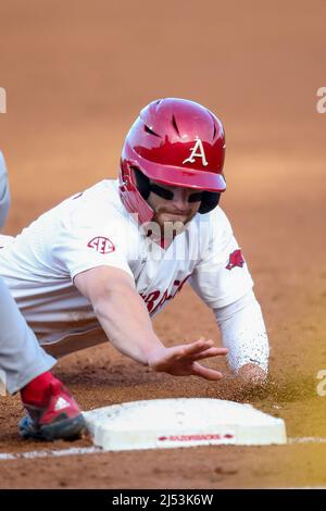 19. April 2022: Zack Gregory #3 Arkansas Base Runner greift zurück zur ersten Base, während er den Sack in Richtung Tasche taucht. Arkansas besiegte den Arkansas State 10-1 in der US-Regierung, Richey Miller/CSM Stockfoto