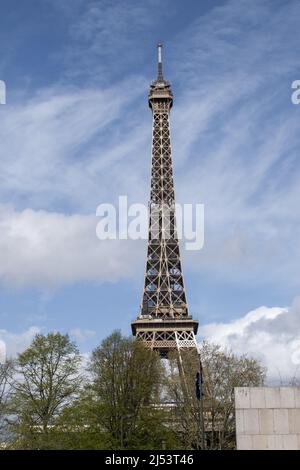 Paris, Frankreich, Europa: Ein Baum mit Blick von unten auf den Eiffelturm, Metallturm, der 1889 für die Weltausstellung fertiggestellt wurde Stockfoto