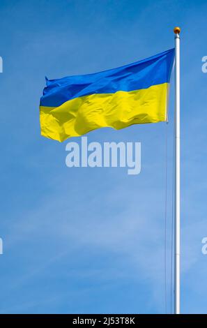Flagge der Ukraine oder ukrainische Flagge, die gegen den blauen Himmel in England, Großbritannien, fliegt, um die Unterstützung der Menschen in der Ukraine im Russland-Ukraine-Krieg zu zeigen. Stockfoto