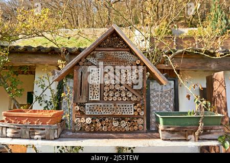 Insektenhotel in einer grünen Hecke gibt Schutz und eine Nisthilfe für Bienen und andere Insekten.Insektenhotel in einer grünen Hecke gibt Schutz und ein Stockfoto