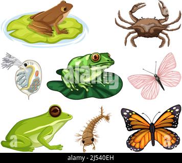 Verschiedene Arten von Insekten und Tieren auf weißem Hintergrund Illustration Stock Vektor