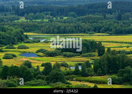 Typische Landschaft um die Moldau in der Nähe des Stausees Lipno, Nationalpark Sumava in Tschechien. Grüner Wald mit Flussmäander. Torfmoor Ort wi Stockfoto