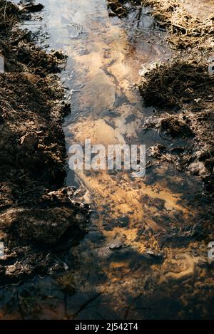 Gelber und schwarzer Sand ist durch das klare Wasser des Baches sichtbar Stockfoto