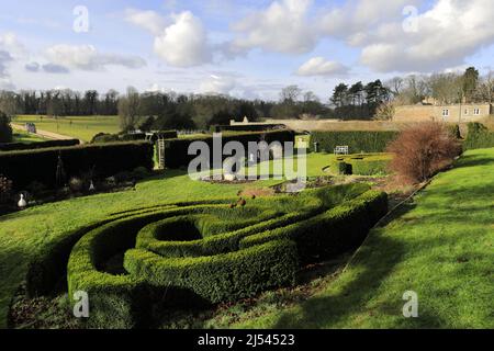 Schneeglöckchen und Aconitblumen in Easton Walled Gardens, Easton Village, Grantham, Lincolnshire, England, VEREINIGTES KÖNIGREICH Stockfoto