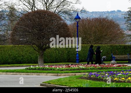 Landschaftlich reizvolle städtische Annehmlichkeit (Spaziergang auf dem Fußweg durch helle Bettwäschestäcke, gepflegte Ränder und Hecke, Sitzbank) - Lister Park, Bradford, England. Stockfoto