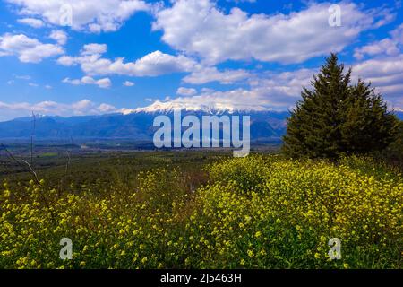 Schneebedeckter Berg Taygetus, Winter, Peloponnes, Griechenland Stockfoto