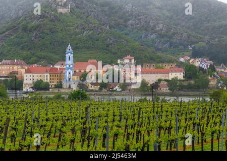 DURNSTEIN, ÖSTERREICH - 12. MAI 2019: Das sind Weinberge am Ufer der Donau in der Wachau und ein berühmtes Dorf am gegenüberliegenden Ufer der Wachau Stockfoto