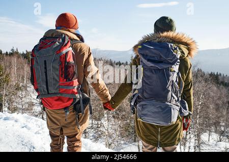 Rückansicht eines jungen Paares, das am Wintertag auf der Bergspitze steht und die Hände hält und die malerische Aussicht genießt Stockfoto