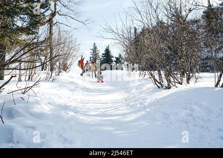 Extrem lange Aufnahme von drei jungen Menschen, die am Wintertag Spaß haben und ihren Freunden beim Schlitten fahren zusehen Stockfoto