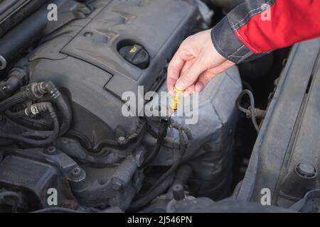Der Servicetechniker nimmt einen Messstab heraus, um den Ölstand im Automotor zu überprüfen. Stockfoto