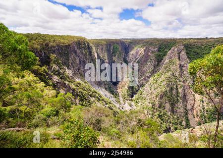 Wollomombi Falls ist ein Wasserfall im Oxley Wild-Nationalpark entlang des Waterfall Way - Hillgrove, NSW, Australien Stockfoto