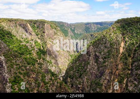 Wollomomombi Gorge im Oxley Wild River National Park - Hillgrove, NSW, Australien Stockfoto