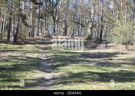 Tegeler Wald (Tegeler Forst) in Tegel, Reinickendorf, Berlin, Deutschland - 17. April 2022. Stockfoto