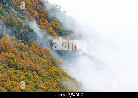 Herbst im Nationalpark Picos de Europa, Spanien, Kantabrien, Nationalpark Picos de Europa Stockfoto