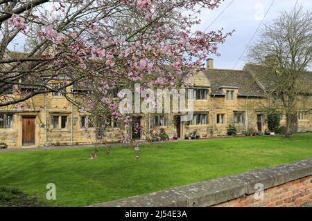 Kirschbäume im Lord Burghley Krankenhaus Armenhäuser, Stamford Town, Grafschaft Lincolnshire, England, Großbritannien Stockfoto