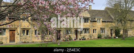 Kirschbäume im Lord Burghley Krankenhaus Armenhäuser, Stamford Town, Grafschaft Lincolnshire, England, Großbritannien Stockfoto