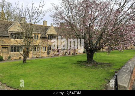 Kirschbäume im Lord Burghley Krankenhaus Armenhäuser, Stamford Town, Grafschaft Lincolnshire, England, Großbritannien Stockfoto