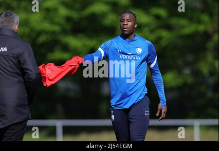 Stadt Bochum, Deutschland. 20. Apr, 2022. firo : 20.. April 2022, Fuvuball, 1. Bundesliga, Saison 2021/2022, VfL Bochum, Training, BELLA KOTCHAP mit Trainingstrikot Credit: dpa/Alamy Live News Stockfoto