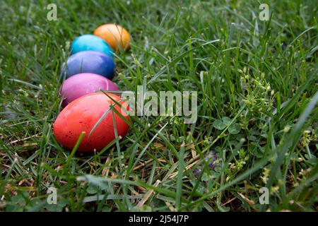 Bunte Ostereier auf Gras Stockfoto
