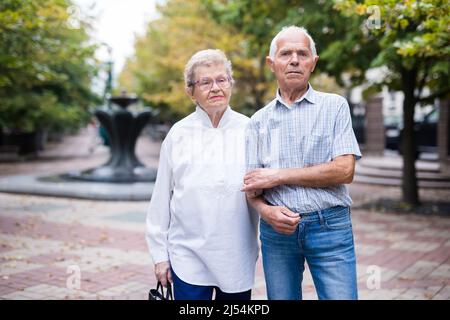 Schwarze Oliven auf vnth Bäumen in einem Olivenhain Stockfoto