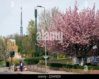 Allgemeine Ansicht der Crystal Palace Sendestation, Arqiva Crystal Palace in Süd-London Stockfoto