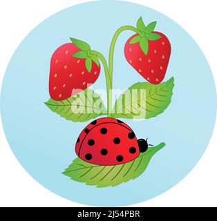 Abbildung des Marienkäfer auf Blatt in der Nähe von roten Erdbeeren, Stockbild Stock Vektor