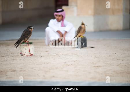 Doha, Katar-April 15,2022: Katarische Kinder mit Falken in der Gegend Souq Waqif in Doha. Stockfoto