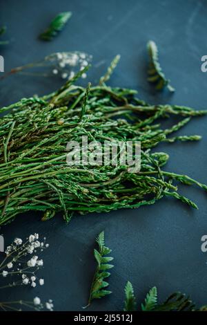 Nahaufnahme eines Bündels frisch geerntetem wildem Spargel auf einer schwarzen Steinoberfläche Stockfoto