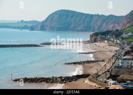 Sidmouth, Devon, Großbritannien. 20.. April 2022. Wetter in Großbritannien. Blick von der Salcombe Hill Cliff nach Westen über den Badeort Sidmouth in Devon an einem Tag glühender heißer Frühlingssonne. Bildnachweis: Graham Hunt/Alamy Live News Stockfoto