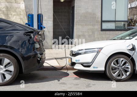 Zwei Elektroautos laden ihre Batterien an einer FLO-Ladestation in Astoria, Queens, New York City. Stockfoto