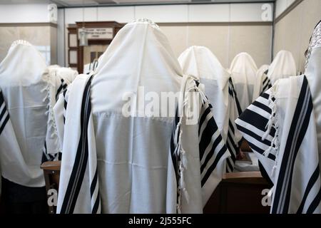 Eine Gruppe von Männern, die Gebetsschals tragen, beim Morgengebet in der Synagoge der Vein-chassidischen Gruppe in Williamsburg, Brooklyn, New York City. Stockfoto