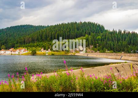 Shiroka Polyana ist ein Stausee in den westlichen Rhodopen in Bulgarien, inmitten eines Waldes mit alten Kiefern. Stockfoto