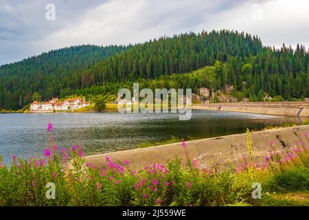 Shiroka Polyana ist ein Stausee in den westlichen Rhodopen in Bulgarien, inmitten eines Waldes mit alten Kiefern. Stockfoto