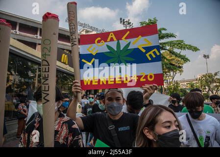 Bangkok, Thailand, 20/04/2022, Menschen halten während der Demonstration am Demokratiedenkmal Schilder und Anstelungen. Thailändische Aktivisten marschierten vom Demokratie-Denkmal zur Khaosan Road, um den Welt-Cannabis-Tag zu feiern und den Freizeitkonsum von Marihuana in Thailand zu fördern. Die thailändischen Behörden haben einen Plan, Cannabis und Hanf von der Betäubungsmittelliste des Landes zu entfernen, ein historischer Schritt, der Jahrzehnte des Verbots beendete, Die Möglichkeit, die Pflanze für den Eigenkonsum anzubauen, die seit dem 09. Juni 2022 in der traditionellen Medizin und Küche verwendet wird, aber weiterhin für den Freizeitkonsum verboten ist. Stockfoto