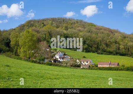 Ferienhäuser in der Coombe im Dorf Compton Martin am Fuße der Mendip Hills, Somerset, England. Stockfoto