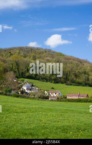 Ferienhäuser in der Coombe im Dorf Compton Martin am Fuße der Mendip Hills, Somerset, England. Stockfoto