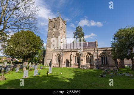Die Norman Church of St Michael the Archangel in Compton Martin in der Mendip Hills National Landscape, Somerset, England. Stockfoto