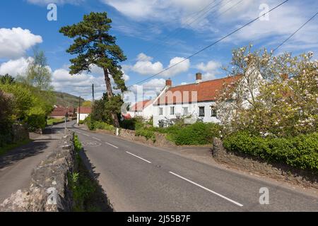 Die Hauptstraße durch das Dorf Compton Martin am Fuße der Mendip Hills, Somerset, England. Stockfoto