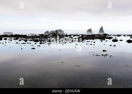 WA21397-00...WASHINGTON - Foggy Morning entlang der Pazifikküste südlich des chilenischen Memorial im Olympic National Park. Stockfoto