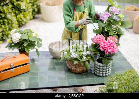 Frau kümmert sich um Blumen auf dem Tisch im Garten Stockfoto