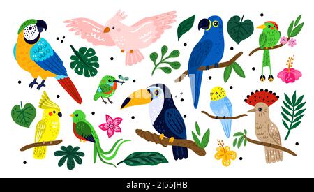 Tropische exotische Vögel. Niedliche bunte Dschungel Tiere. Palmblätter und Blumen. Verschiedene Papageien auf Regenwaldzweigen. Toucan oder Kolibris. Vektor Stock Vektor