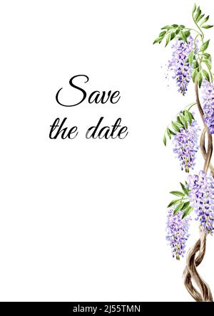 Wisteria Blume Rand, speichern Sie die Datumskarte. Handgezeichnete Aquarelldarstellung isoliert auf weißem Hintergrund Stockfoto